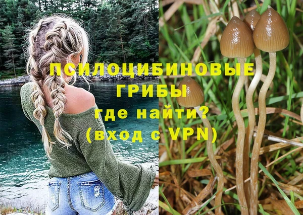 PSILOCYBIN Наволоки