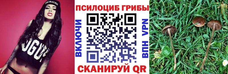 мега как войти  Ленск  Псилоцибиновые грибы мицелий 